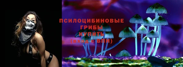ГАЛЛЮЦИНОГЕННЫЕ ГРИБЫ Абинск