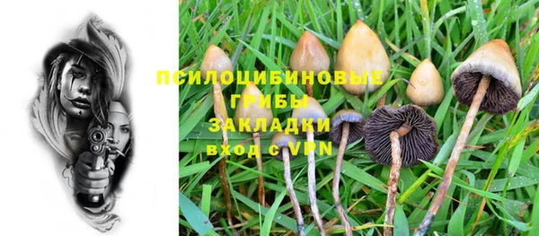 мет Абаза